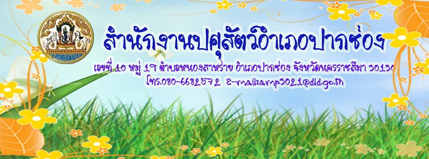 สุขภาพ สัตว์ ฤดูหนาว สำนักงานปศุสัตว์อำเภอปากช่อง จังหวัดนครราชสีมา