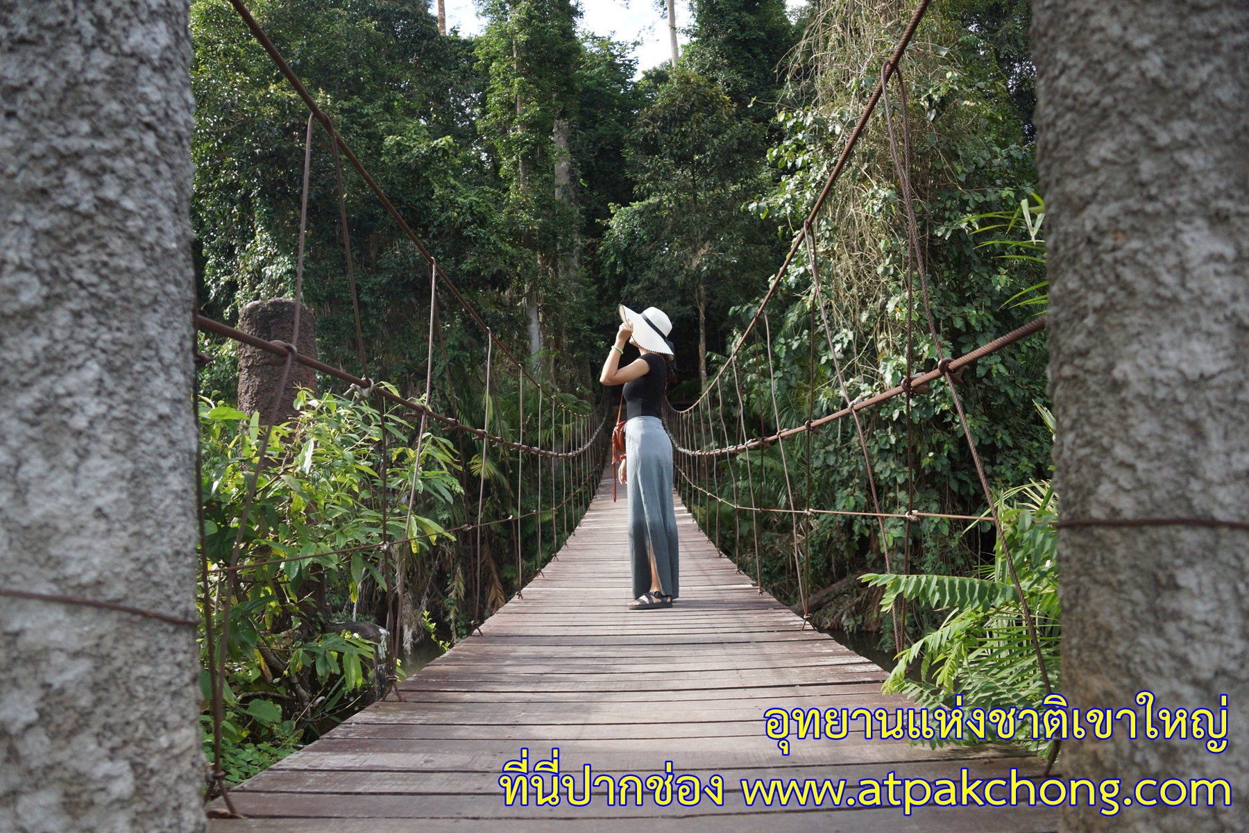 สะพานข้ามลำตะคอง ด้านหลังศูนย์บริการนักท่องเที่ยว อุทยานแห่งชาติเขาใหญ่