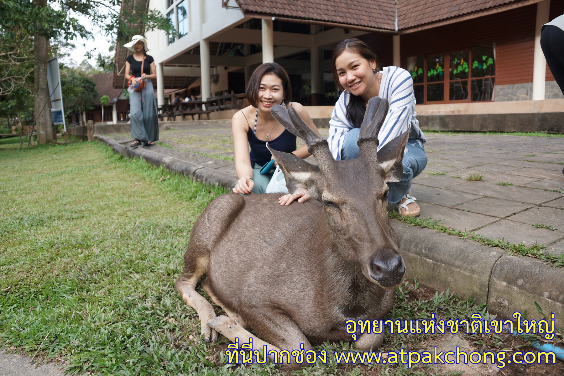 บรรยากาศร้านอาหาร สำหรับจำหน่ายให้นักท่องเที่ยว อุทยานแห่งชาติเขาใหญ่