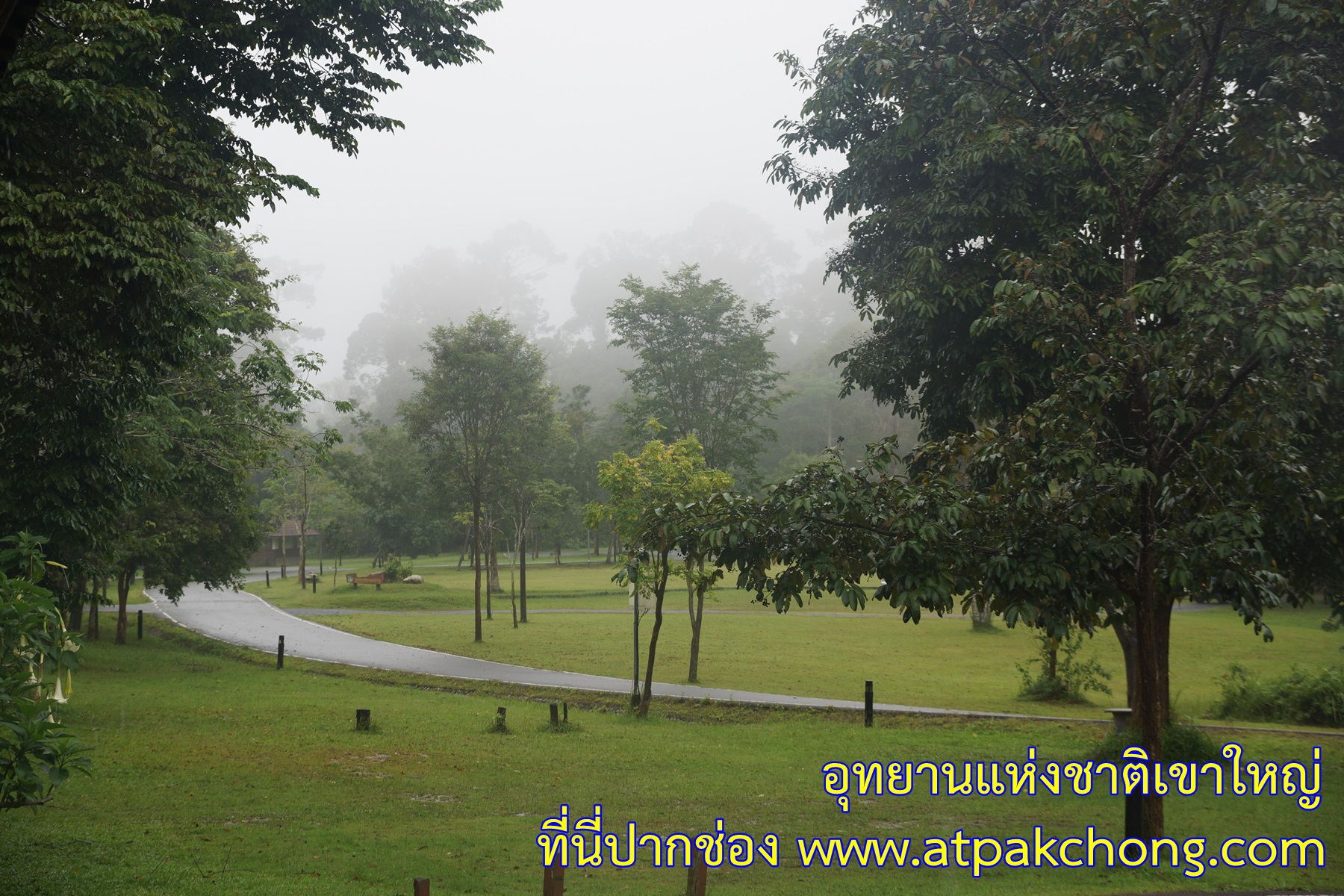 บรรยากาศตอนเช้าๆ บ้านพักโซนธนรัซต์ อุทยานแห่งชาติเขาใหญ่