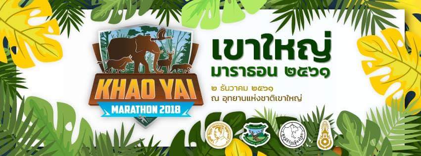 เขาใหญ่มาราธอน 2561 khaoyaimarathon 2018